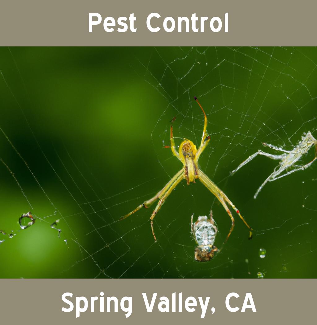 pest control in Spring Valley California