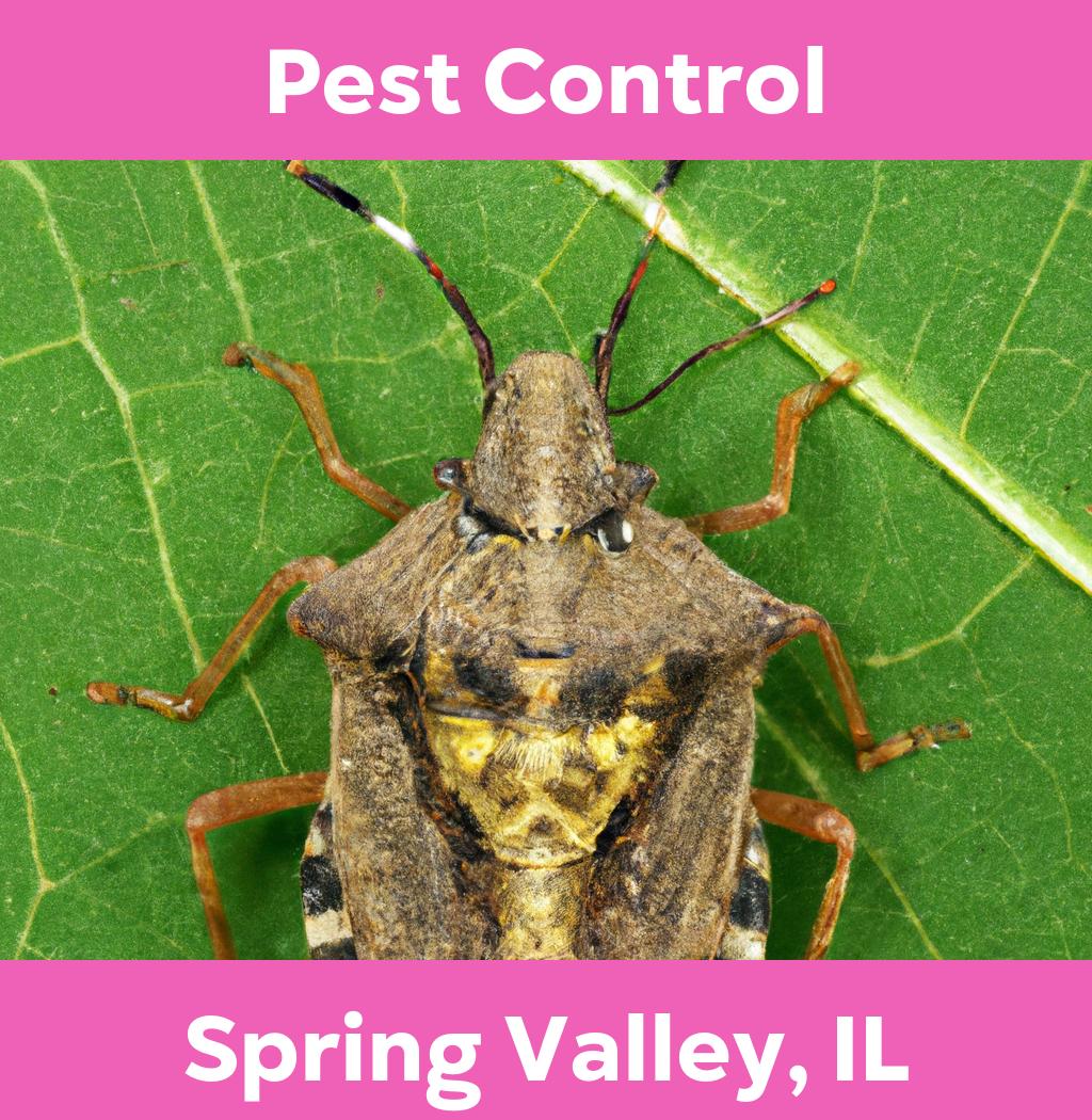 pest control in Spring Valley Illinois