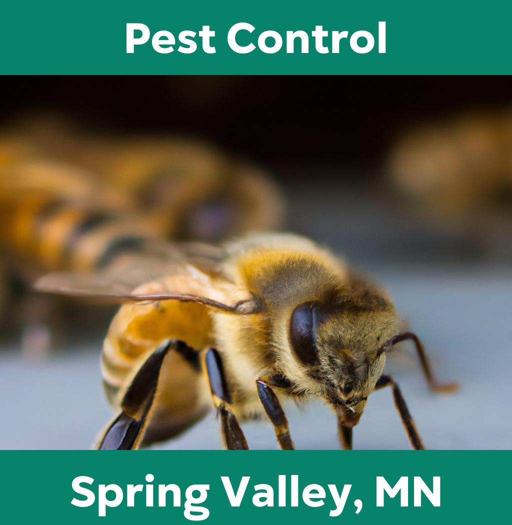 pest control in Spring Valley Minnesota