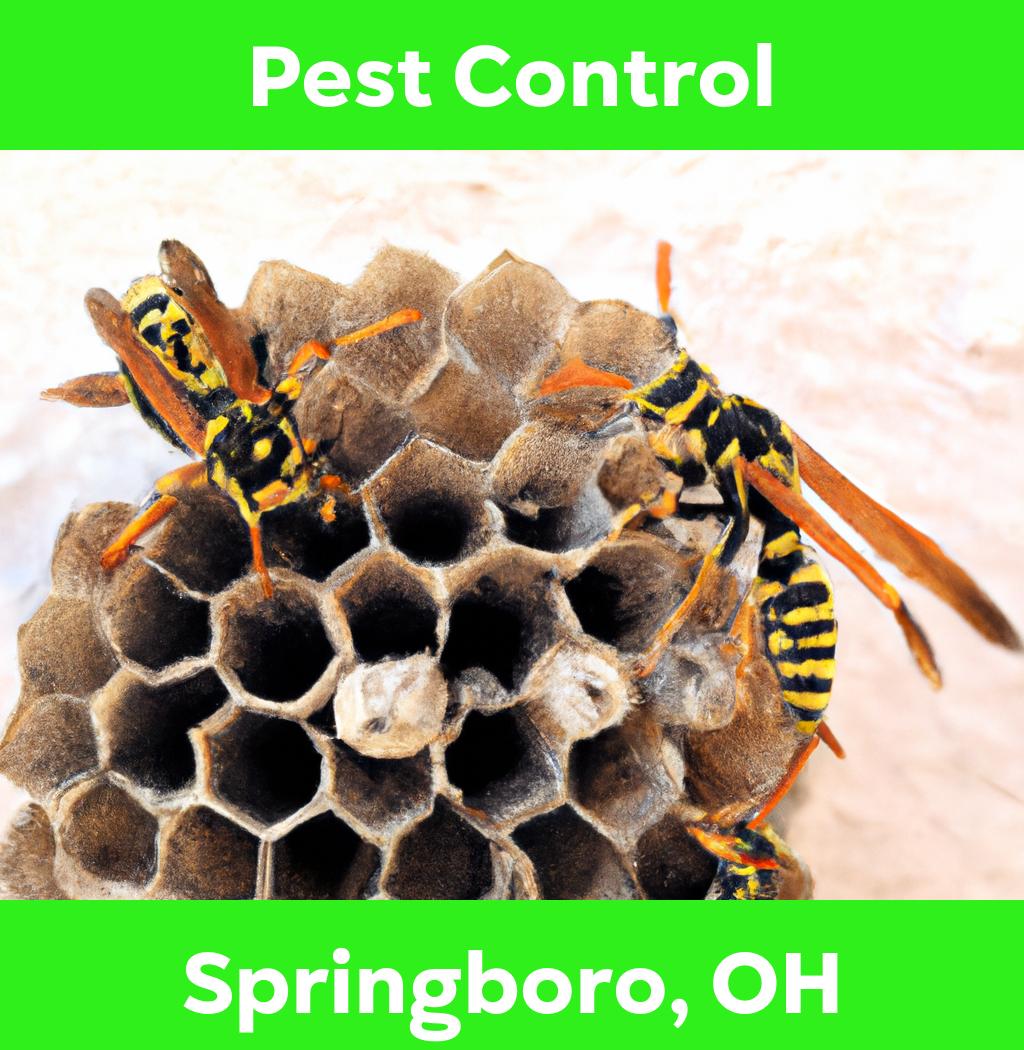 pest control in Springboro Ohio