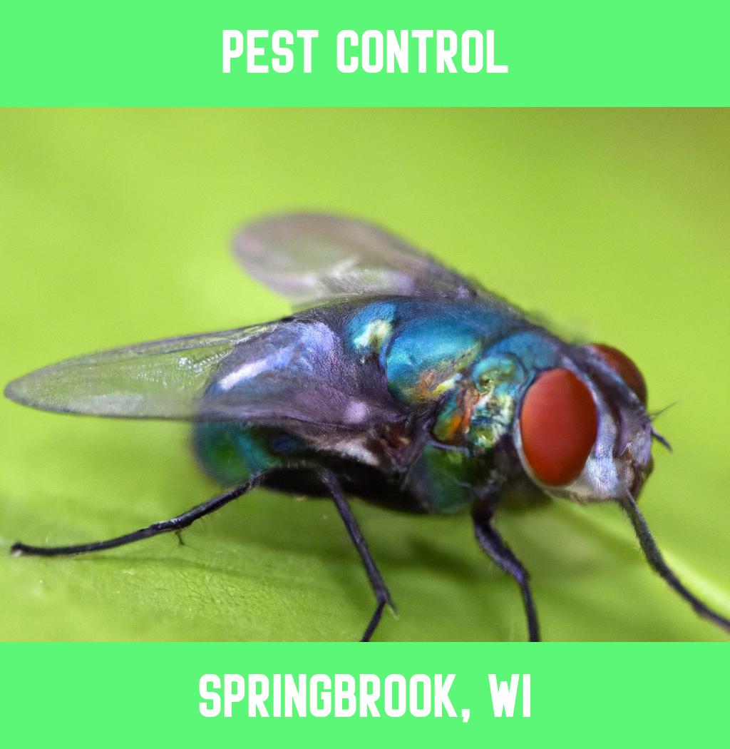 pest control in Springbrook Wisconsin