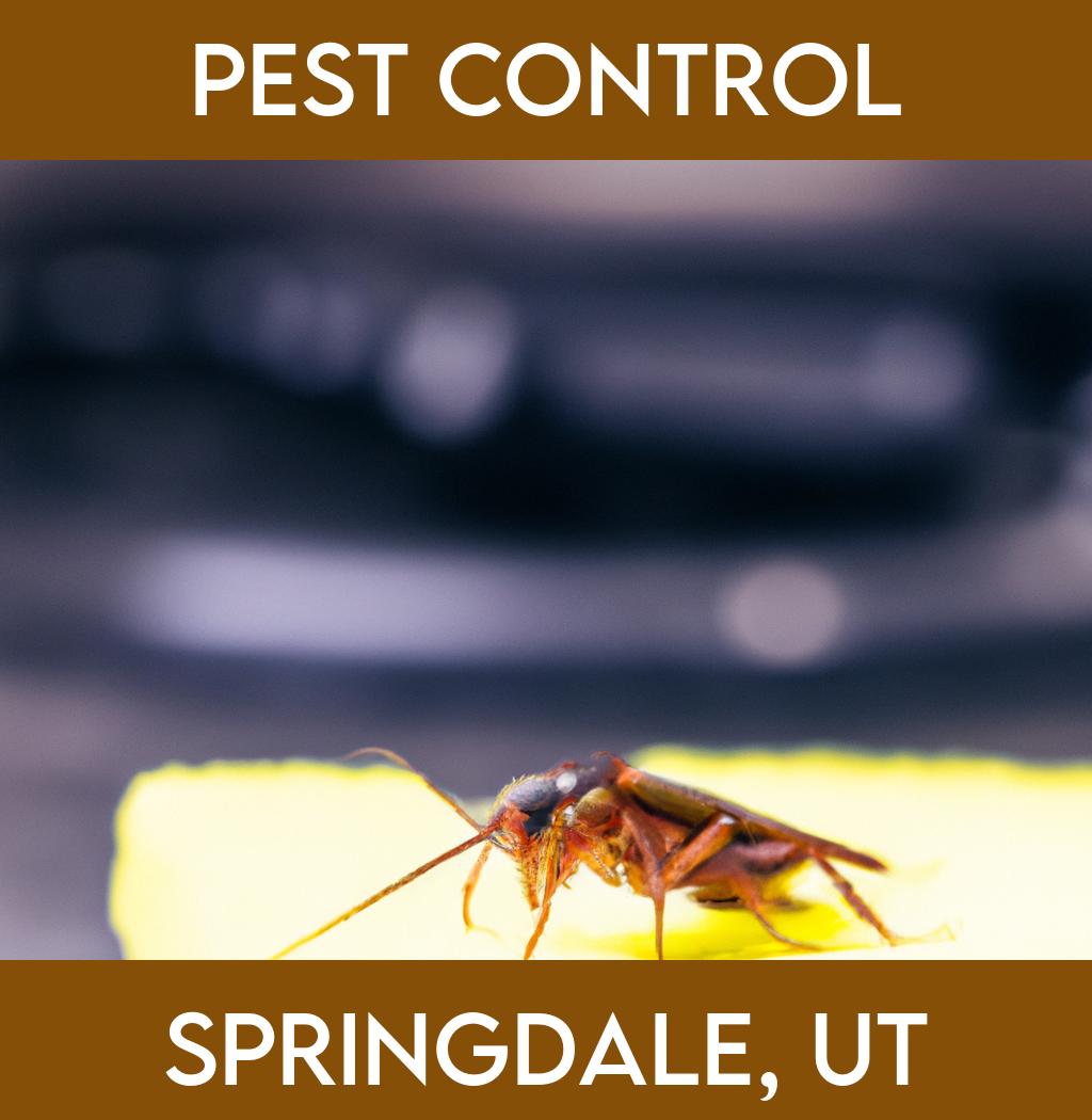 pest control in Springdale Utah