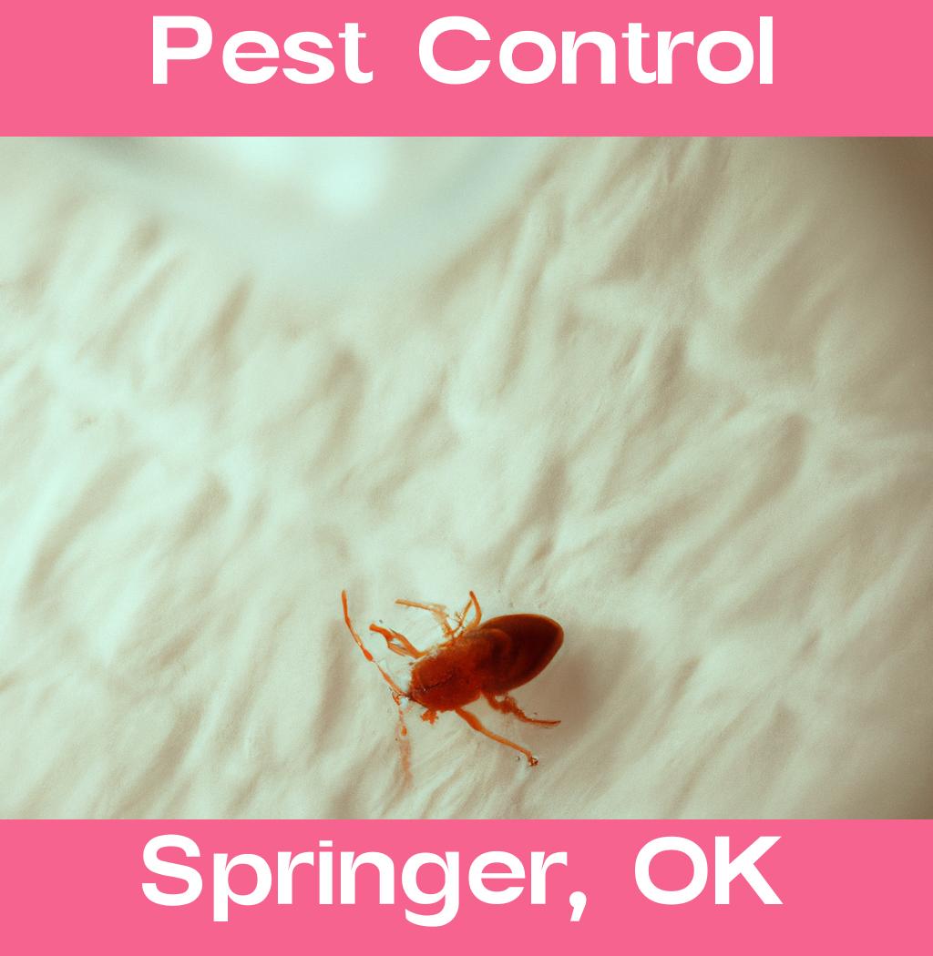 pest control in Springer Oklahoma