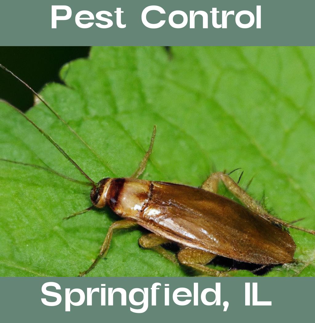 pest control in Springfield Illinois