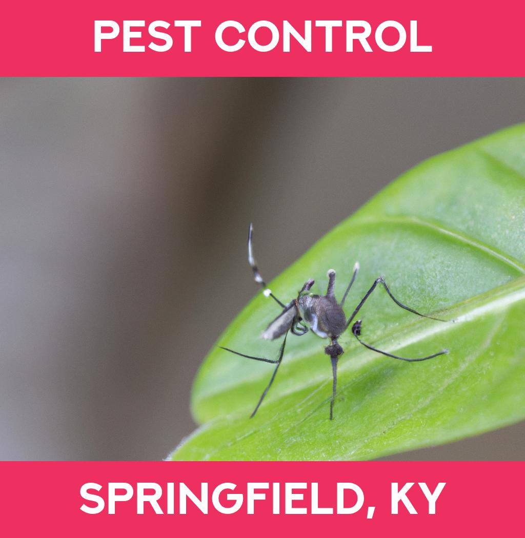 pest control in Springfield Kentucky