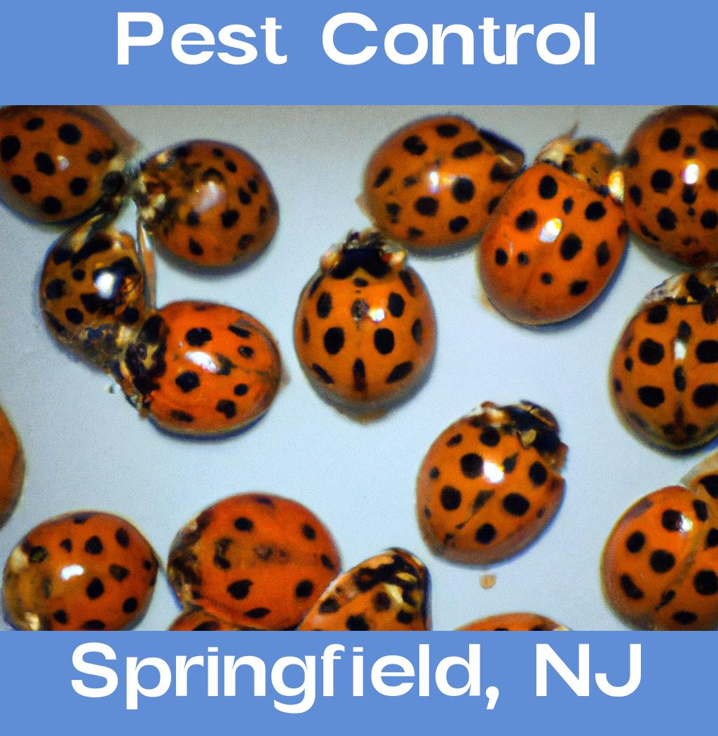 pest control in Springfield New Jersey