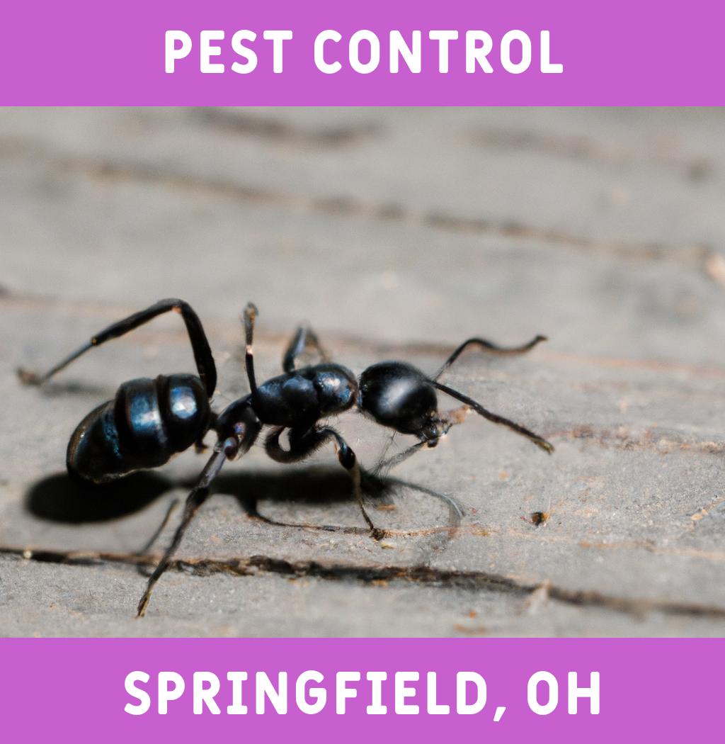 pest control in Springfield Ohio