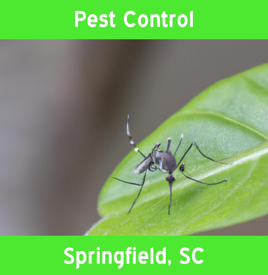pest control in Springfield South Carolina