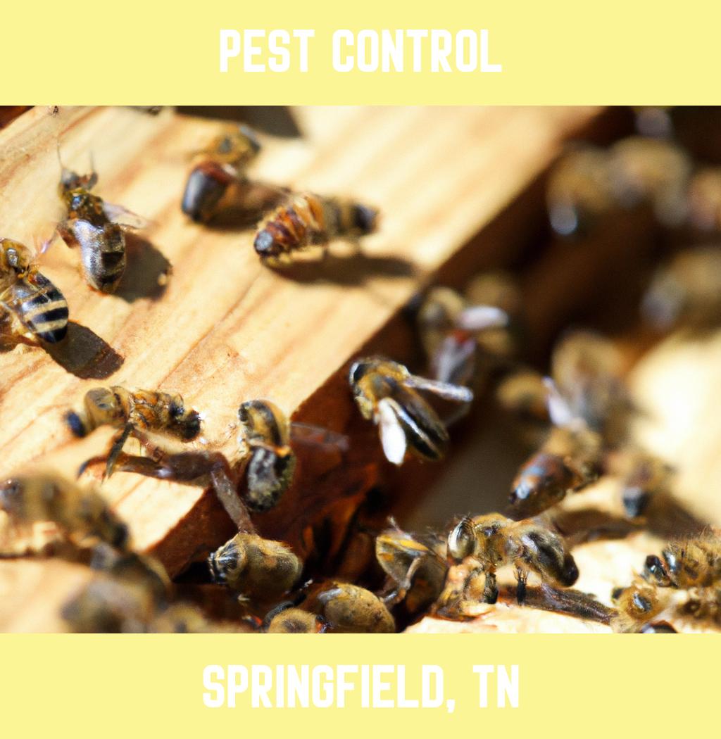 pest control in Springfield Tennessee