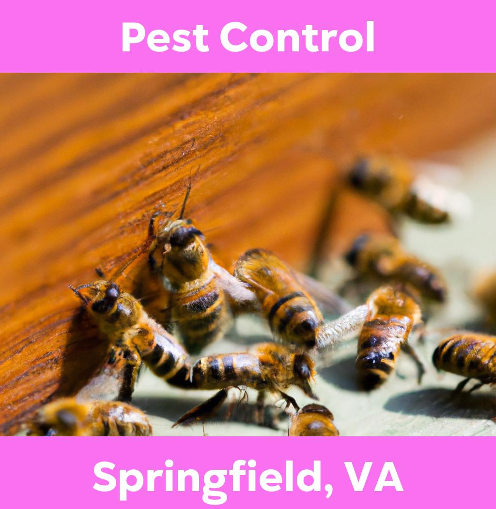 pest control in Springfield Virginia