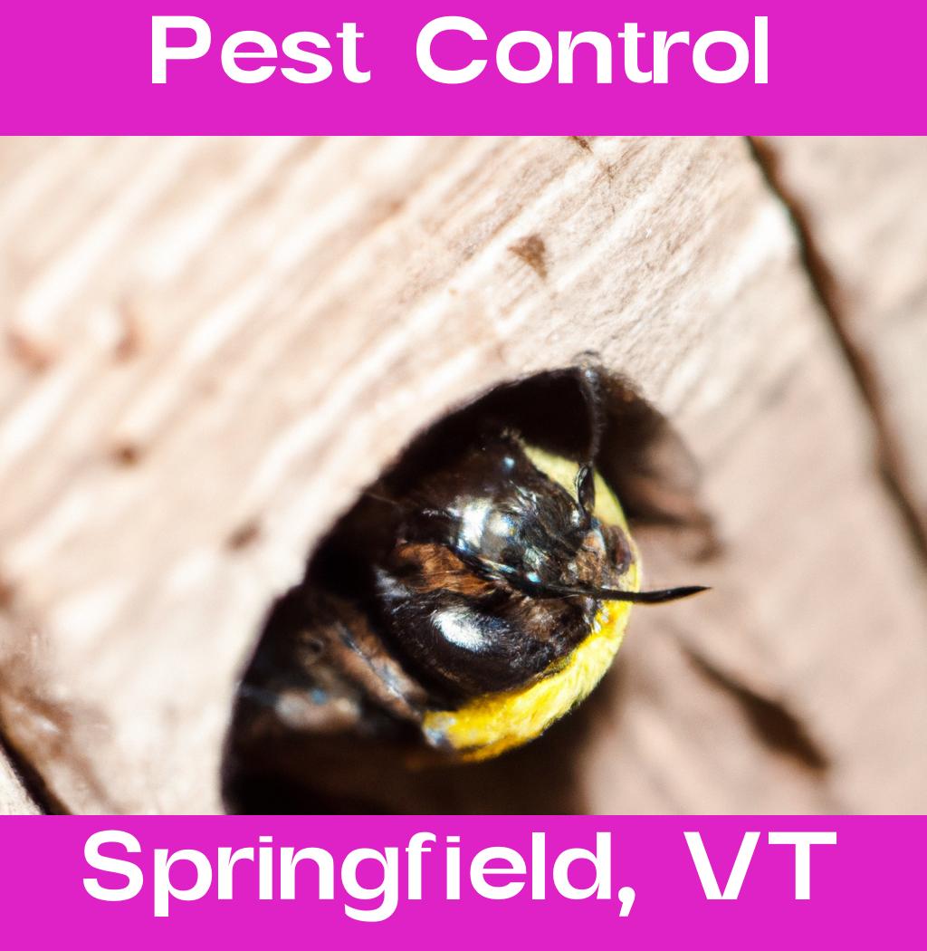 pest control in Springfield Vermont