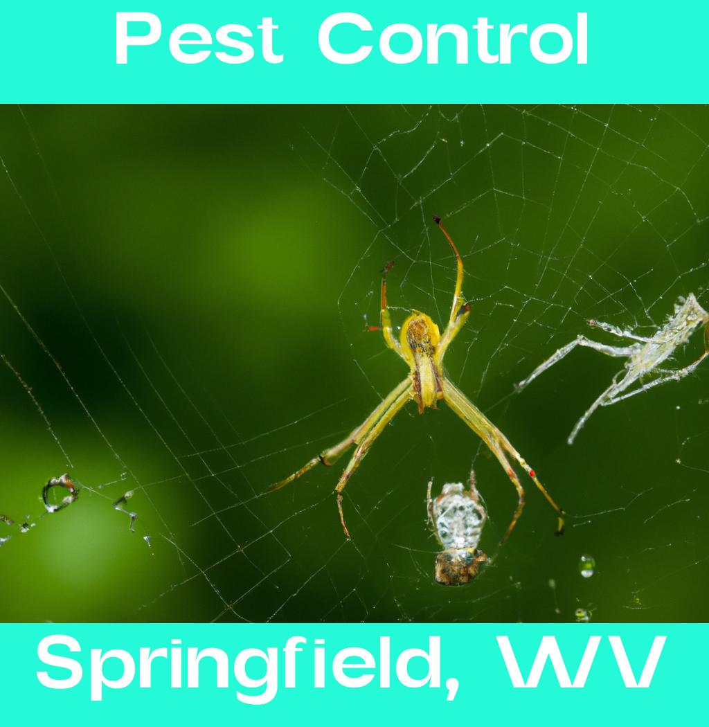 pest control in Springfield West Virginia