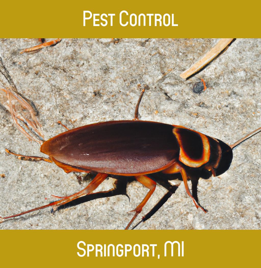 pest control in Springport Michigan