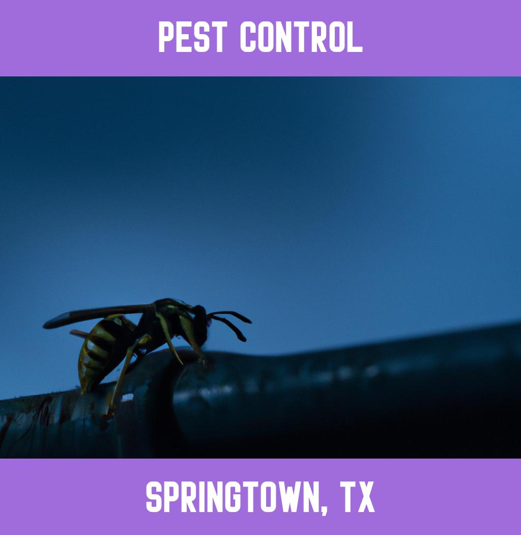 pest control in Springtown Texas
