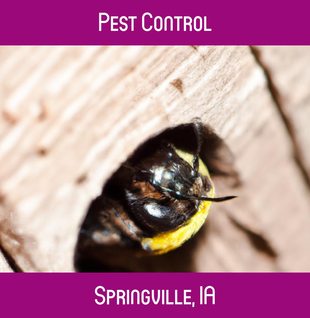 pest control in Springville Iowa