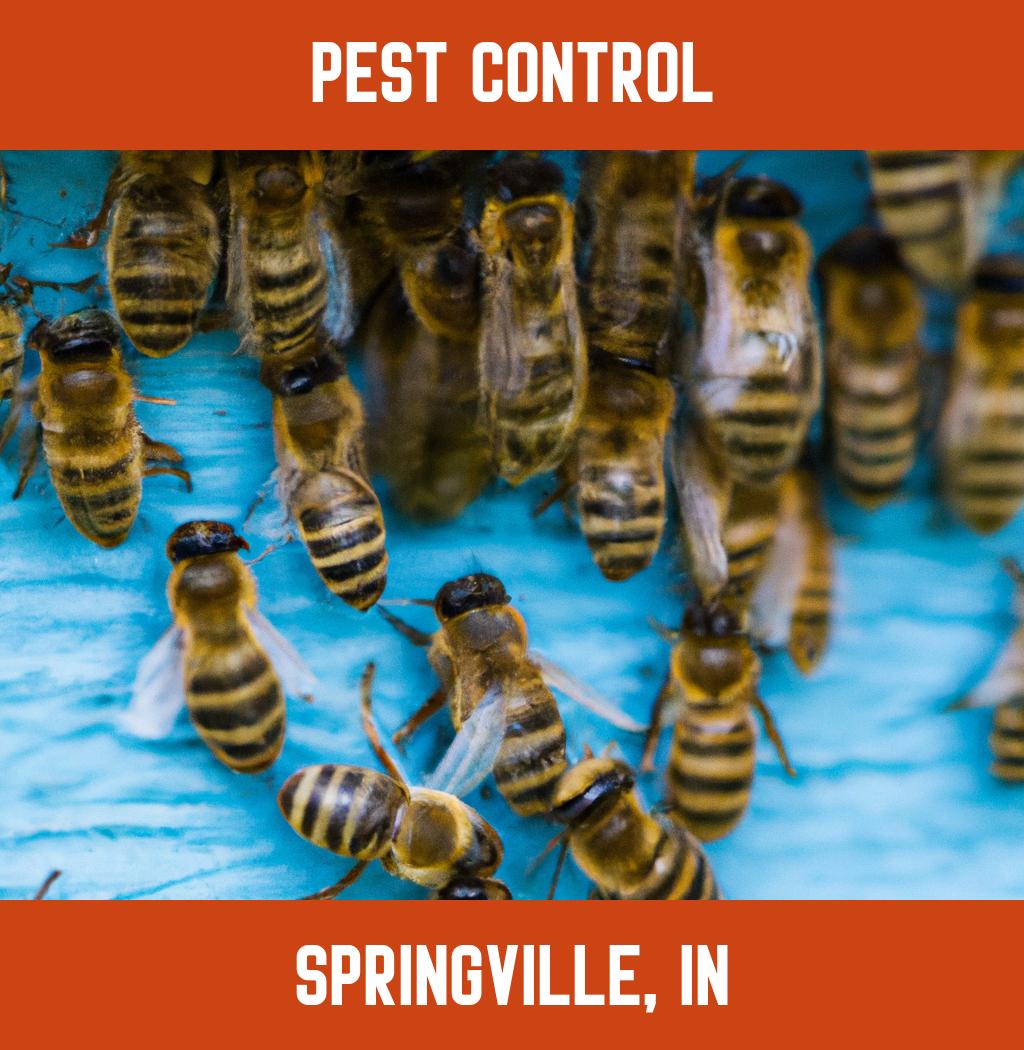 pest control in Springville Indiana