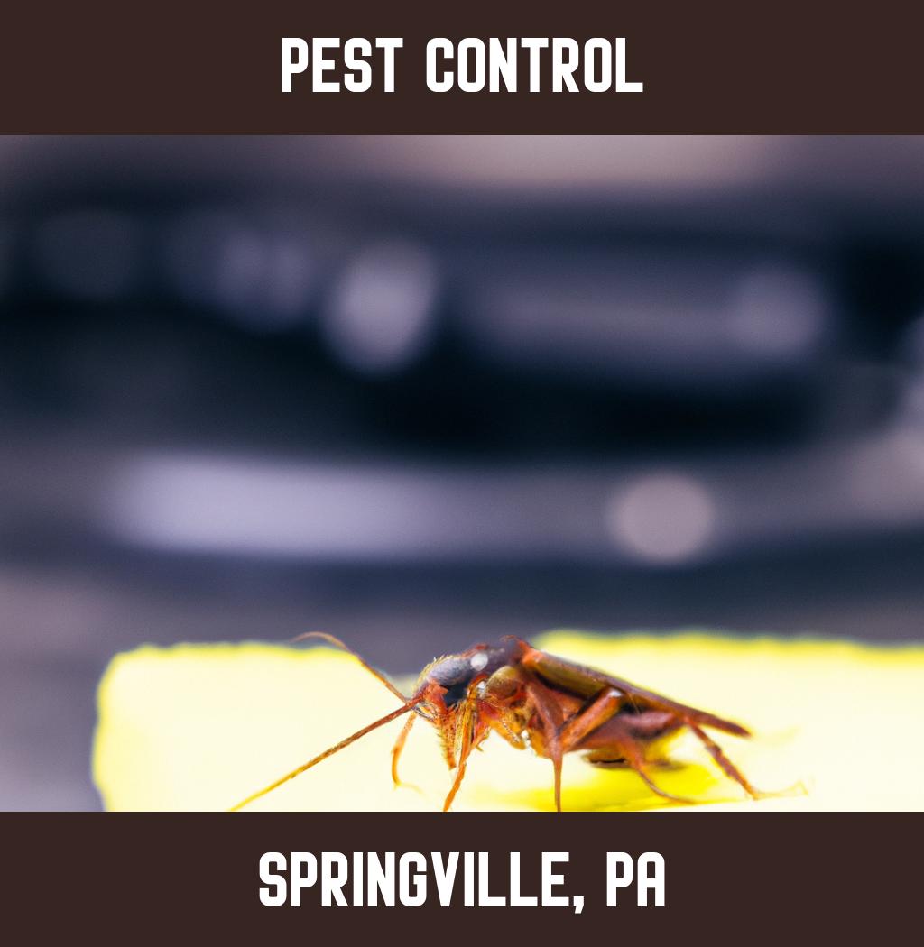 pest control in Springville Pennsylvania