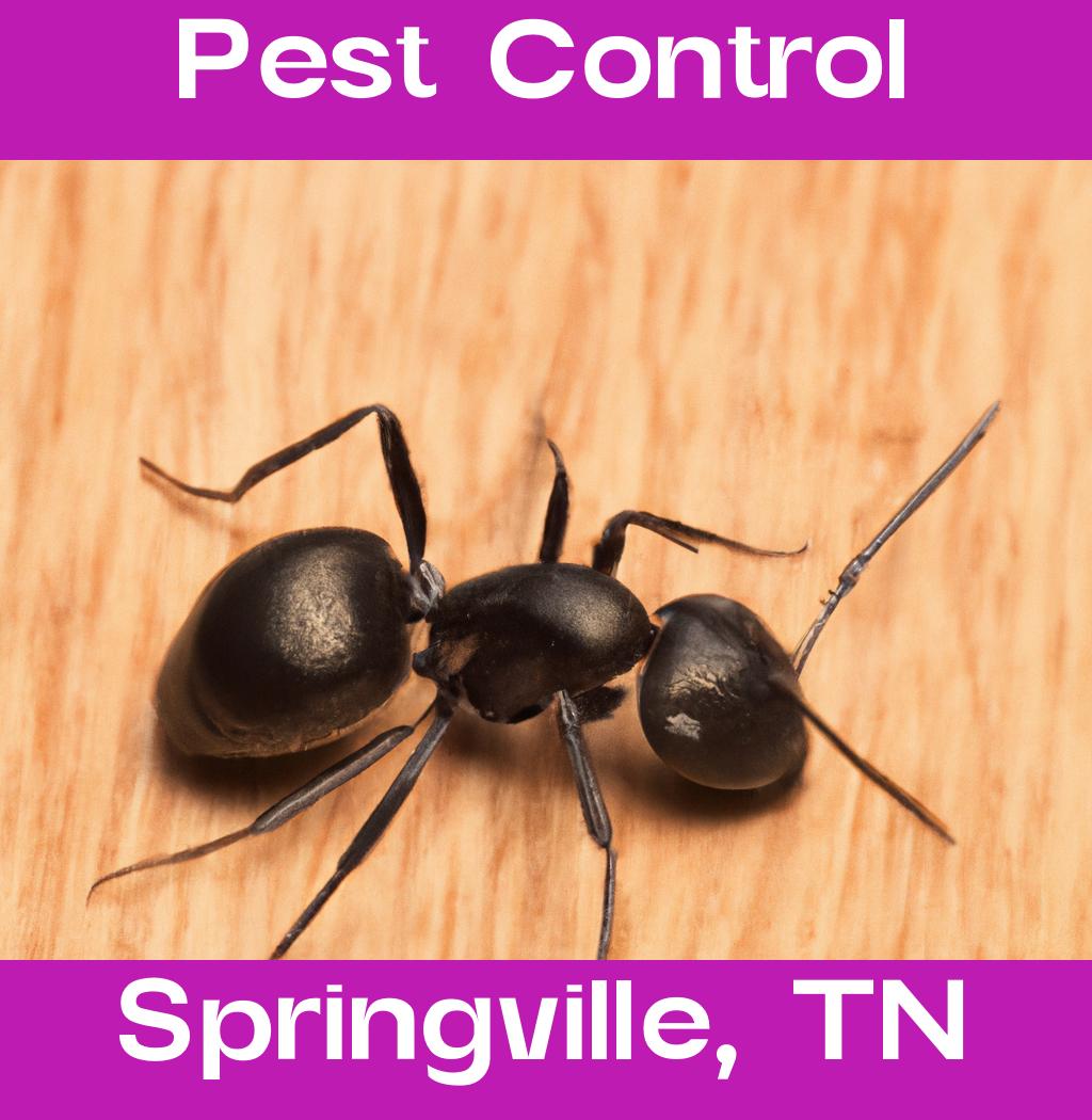 pest control in Springville Tennessee