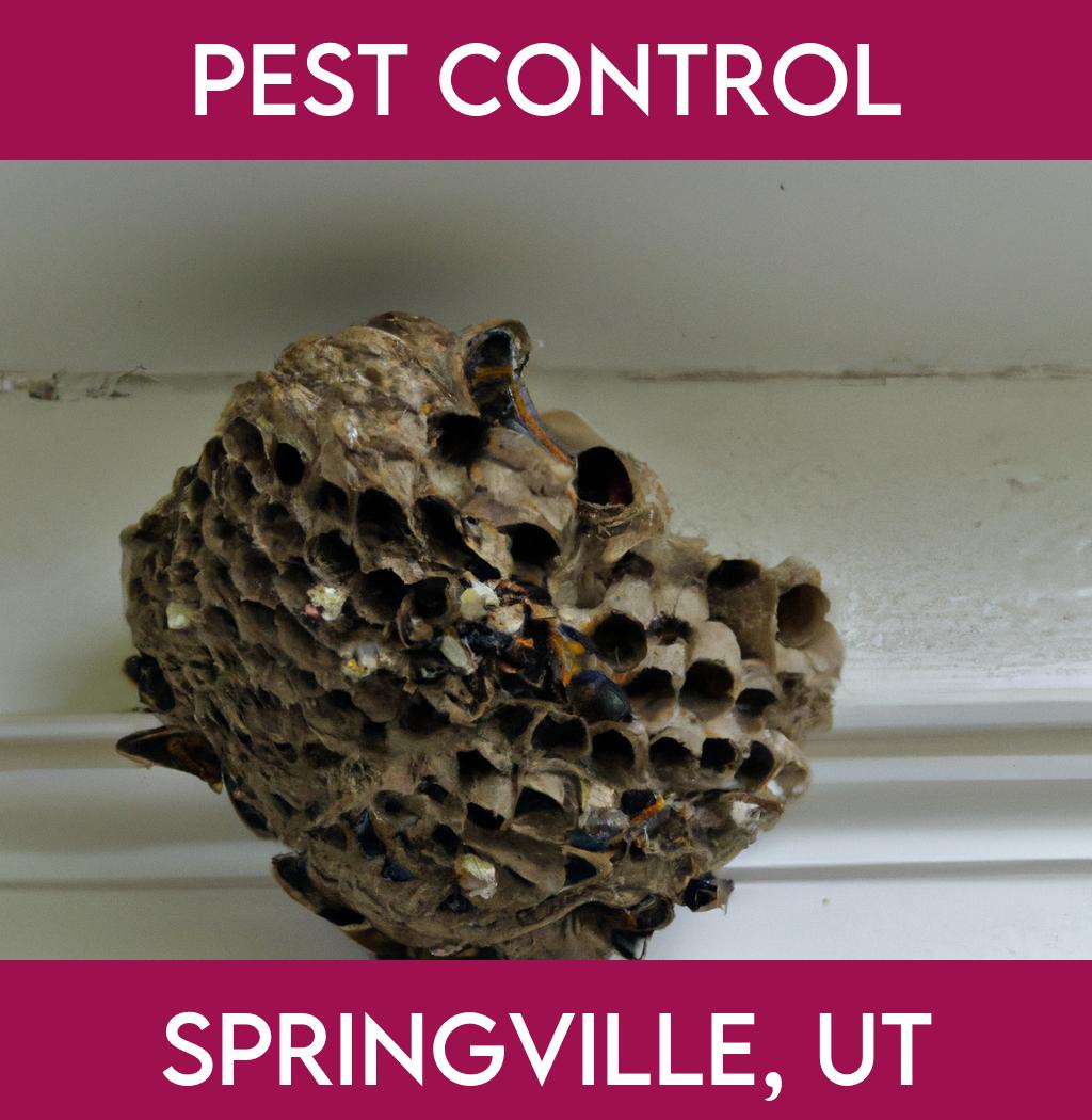 pest control in Springville Utah