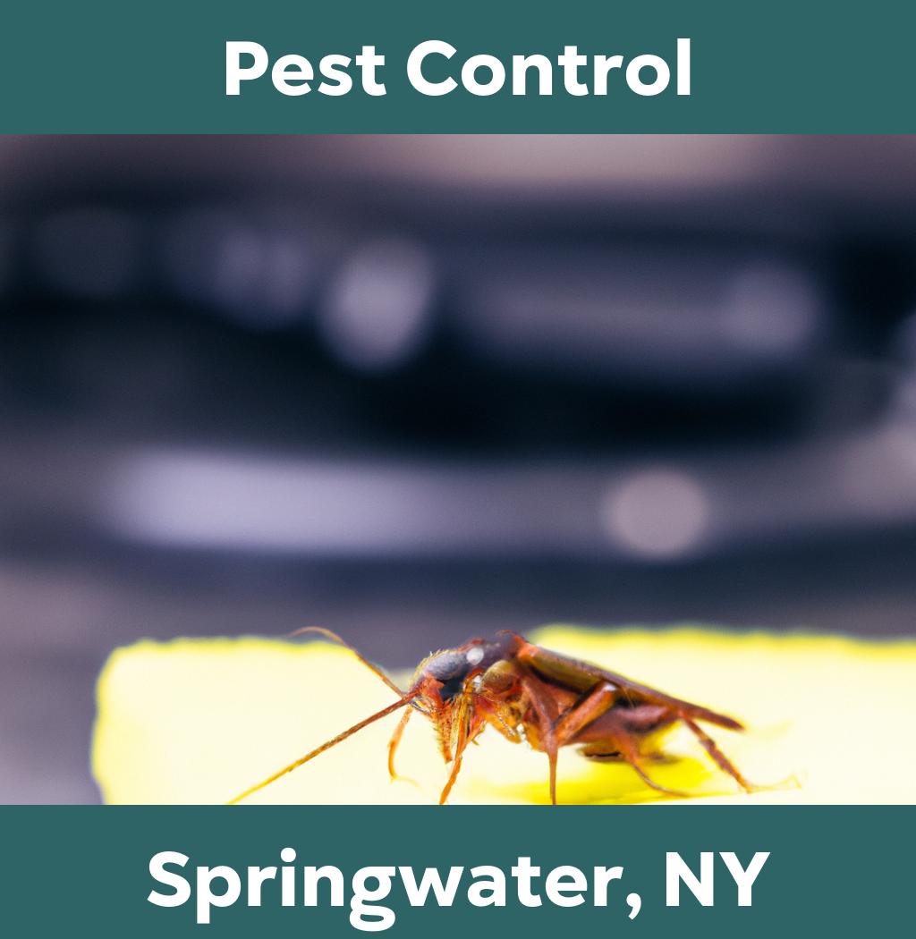pest control in Springwater New York