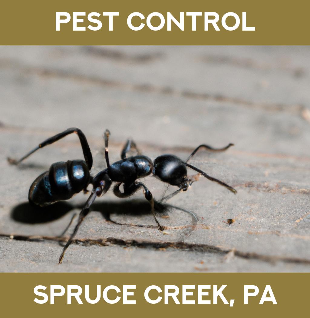 pest control in Spruce Creek Pennsylvania
