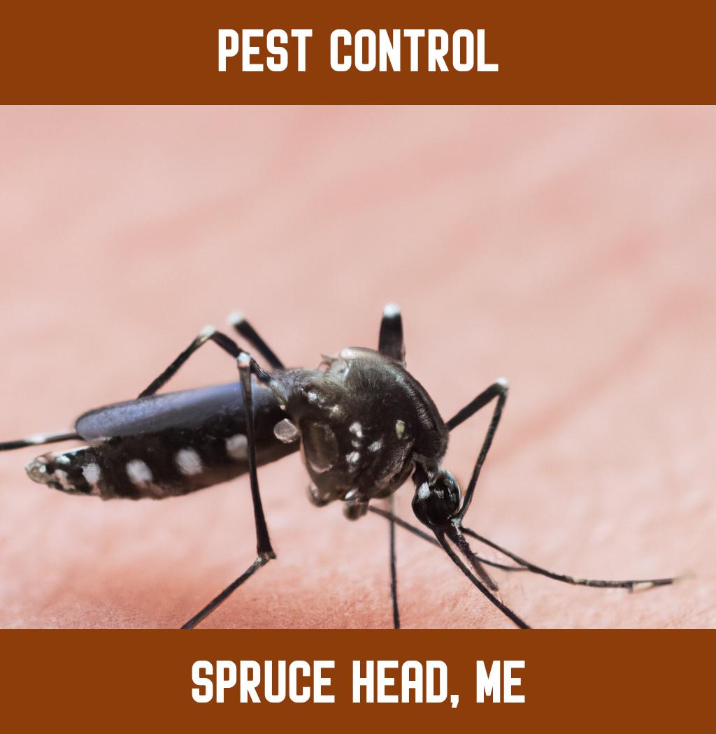 pest control in Spruce Head Maine