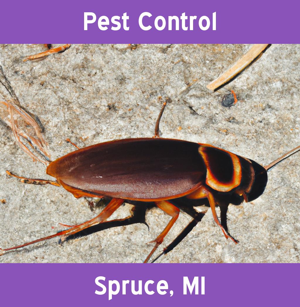 pest control in Spruce Michigan