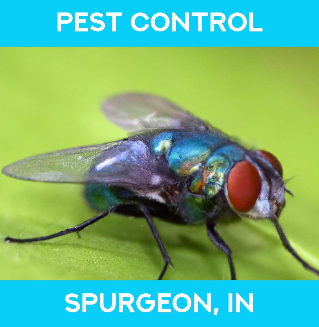 pest control in Spurgeon Indiana