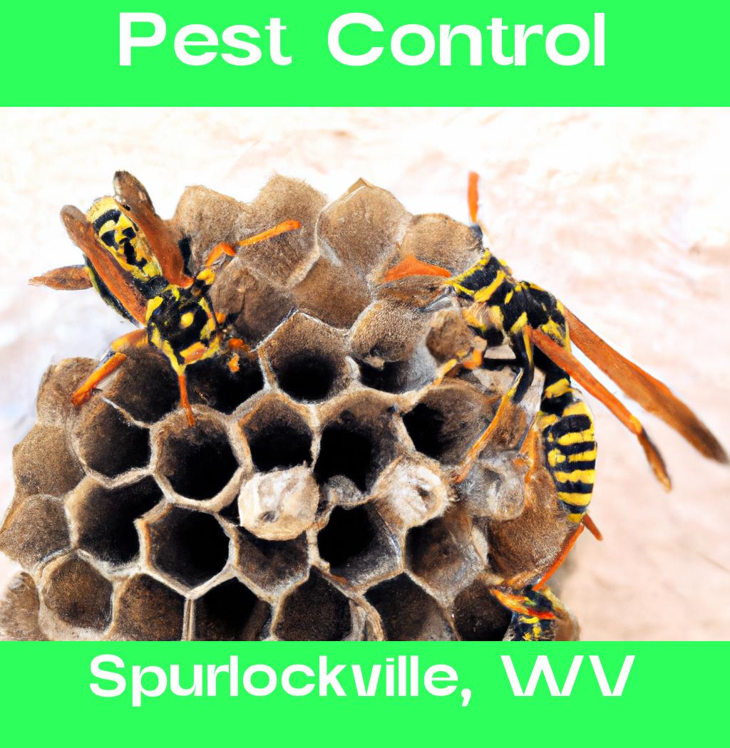 pest control in Spurlockville West Virginia