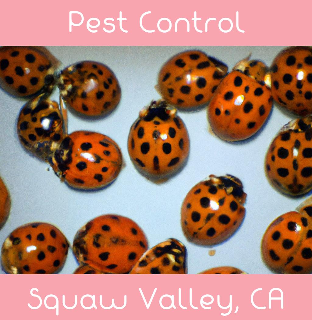 pest control in Squaw Valley California