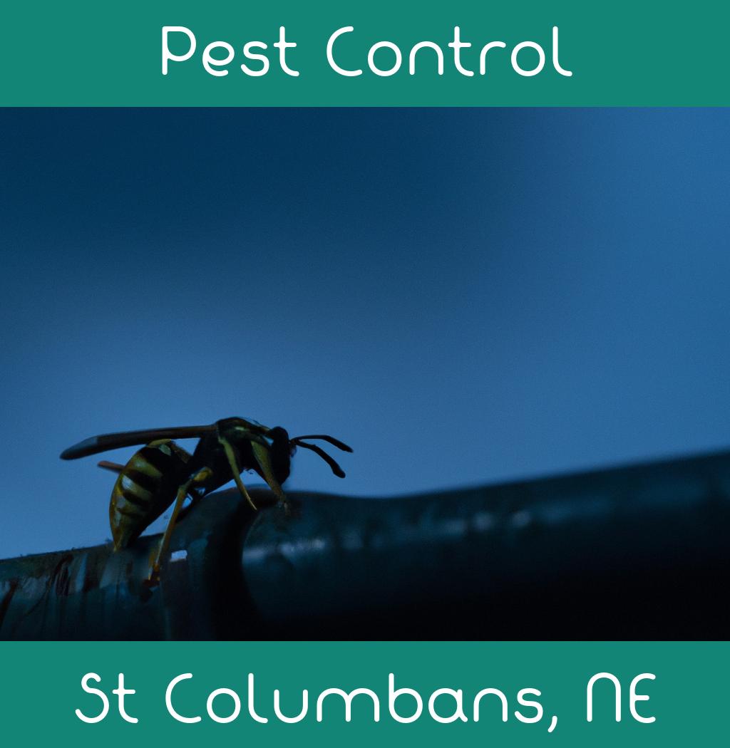 pest control in St Columbans Nebraska