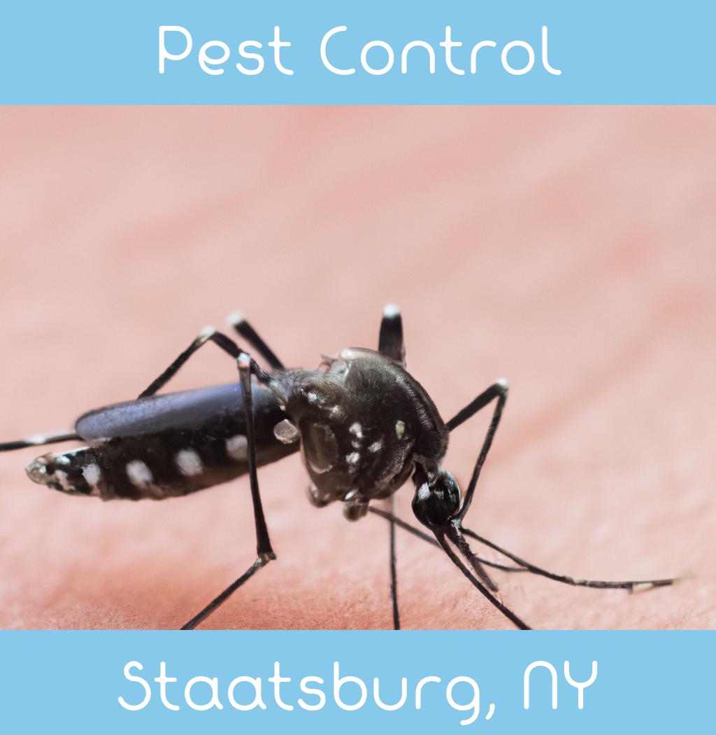 pest control in Staatsburg New York
