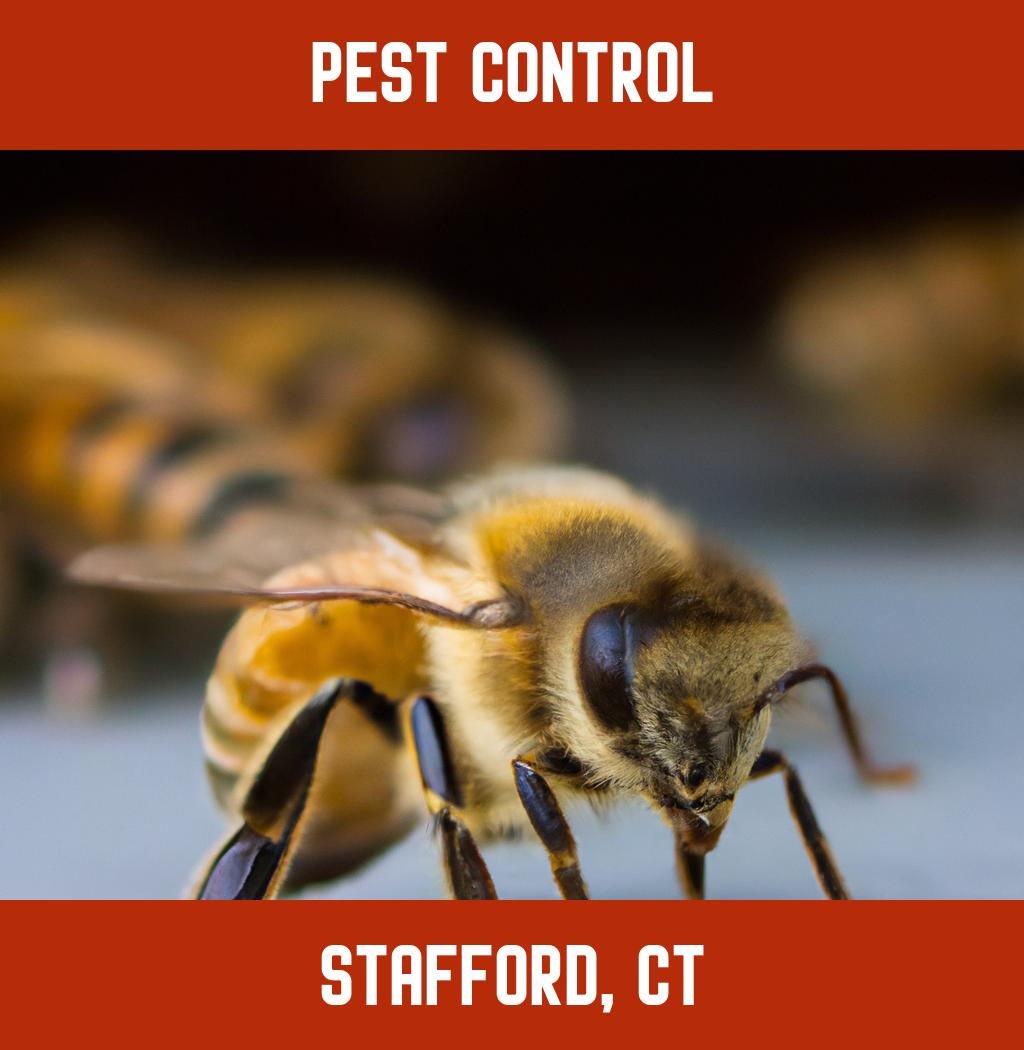 pest control in Stafford Connecticut