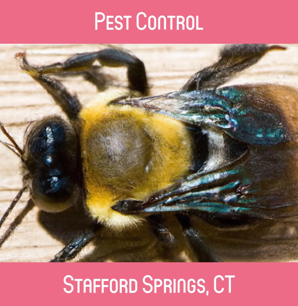 pest control in Stafford Springs Connecticut