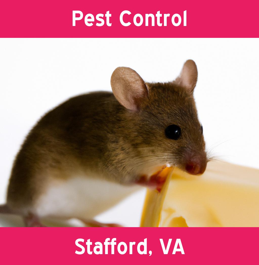 pest control in Stafford Virginia