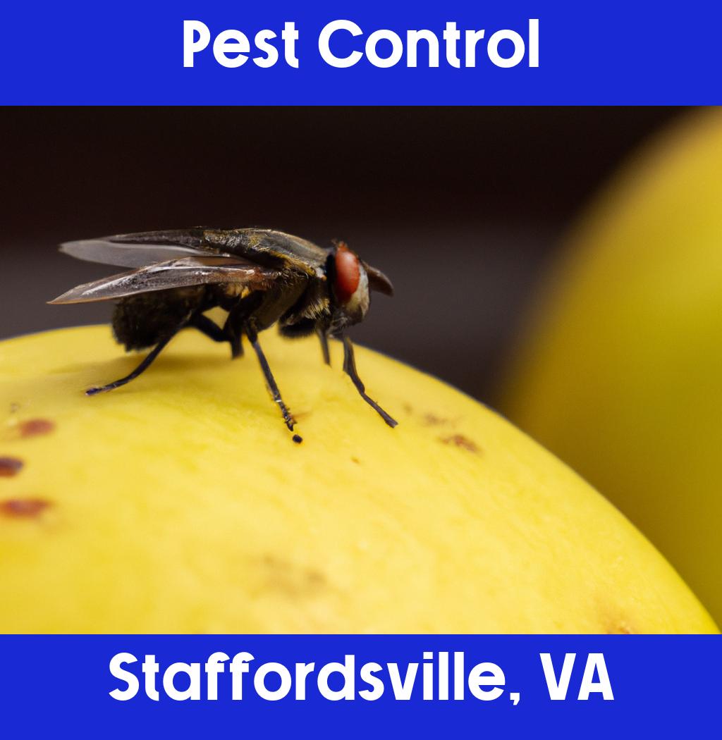 pest control in Staffordsville Virginia