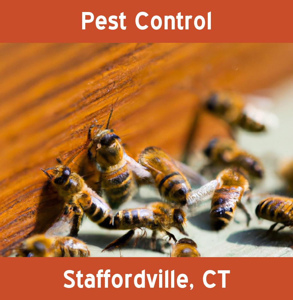 pest control in Staffordville Connecticut