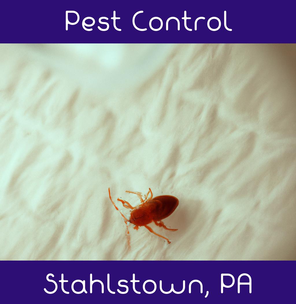 pest control in Stahlstown Pennsylvania