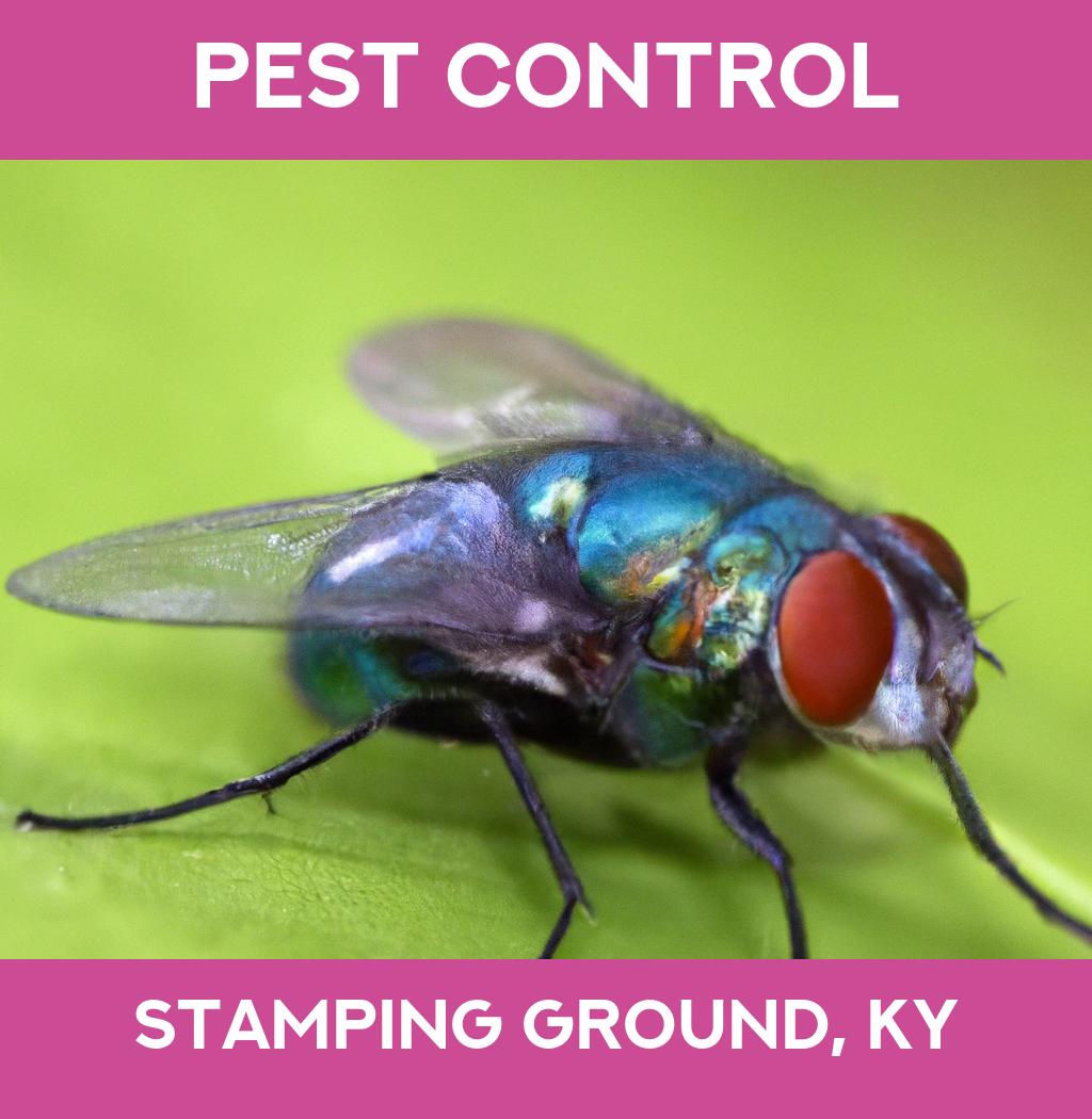 pest control in Stamping Ground Kentucky