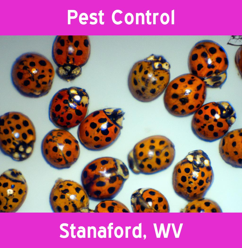 pest control in Stanaford West Virginia