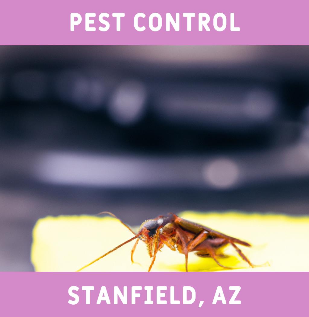 pest control in Stanfield Arizona