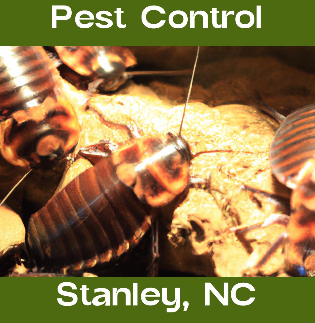 pest control in Stanley North Carolina