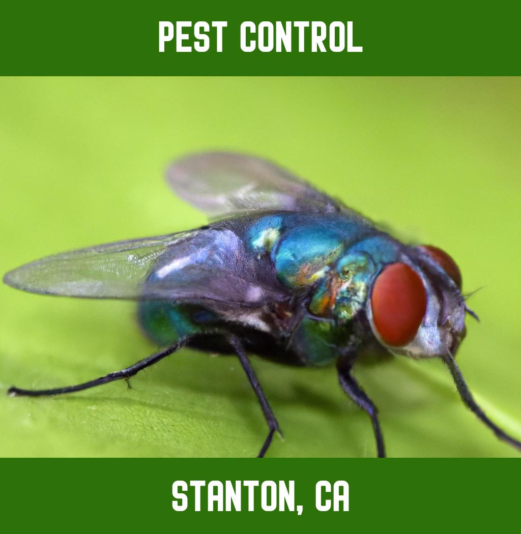 pest control in Stanton California