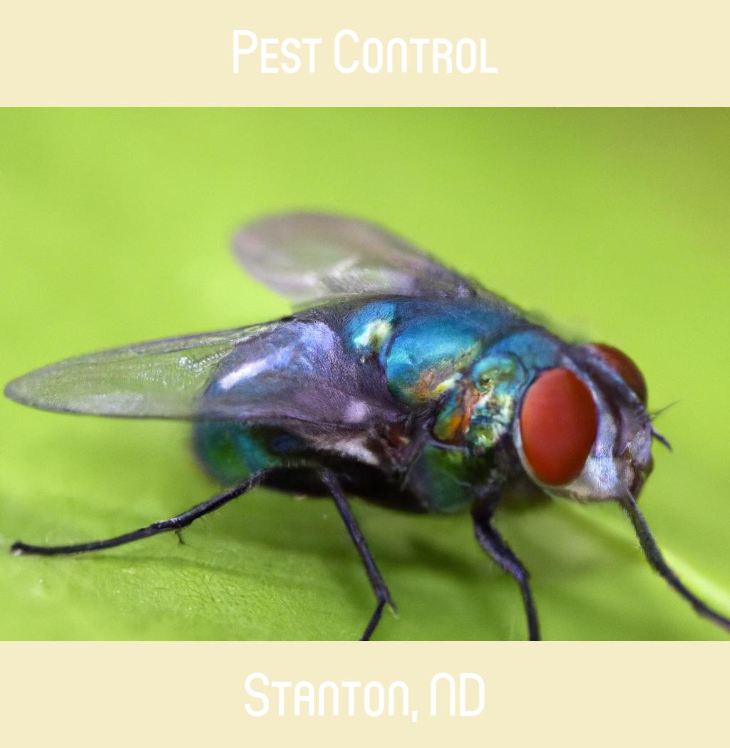 pest control in Stanton North Dakota