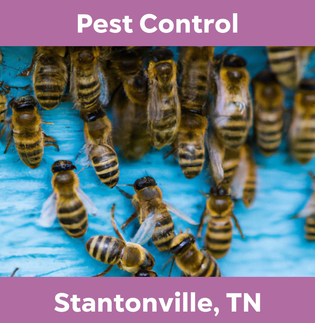 pest control in Stantonville Tennessee