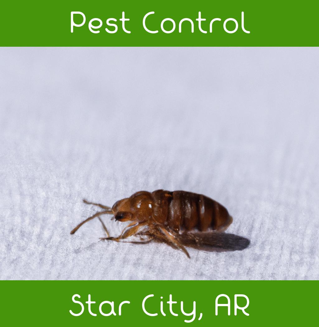 pest control in Star City Arkansas