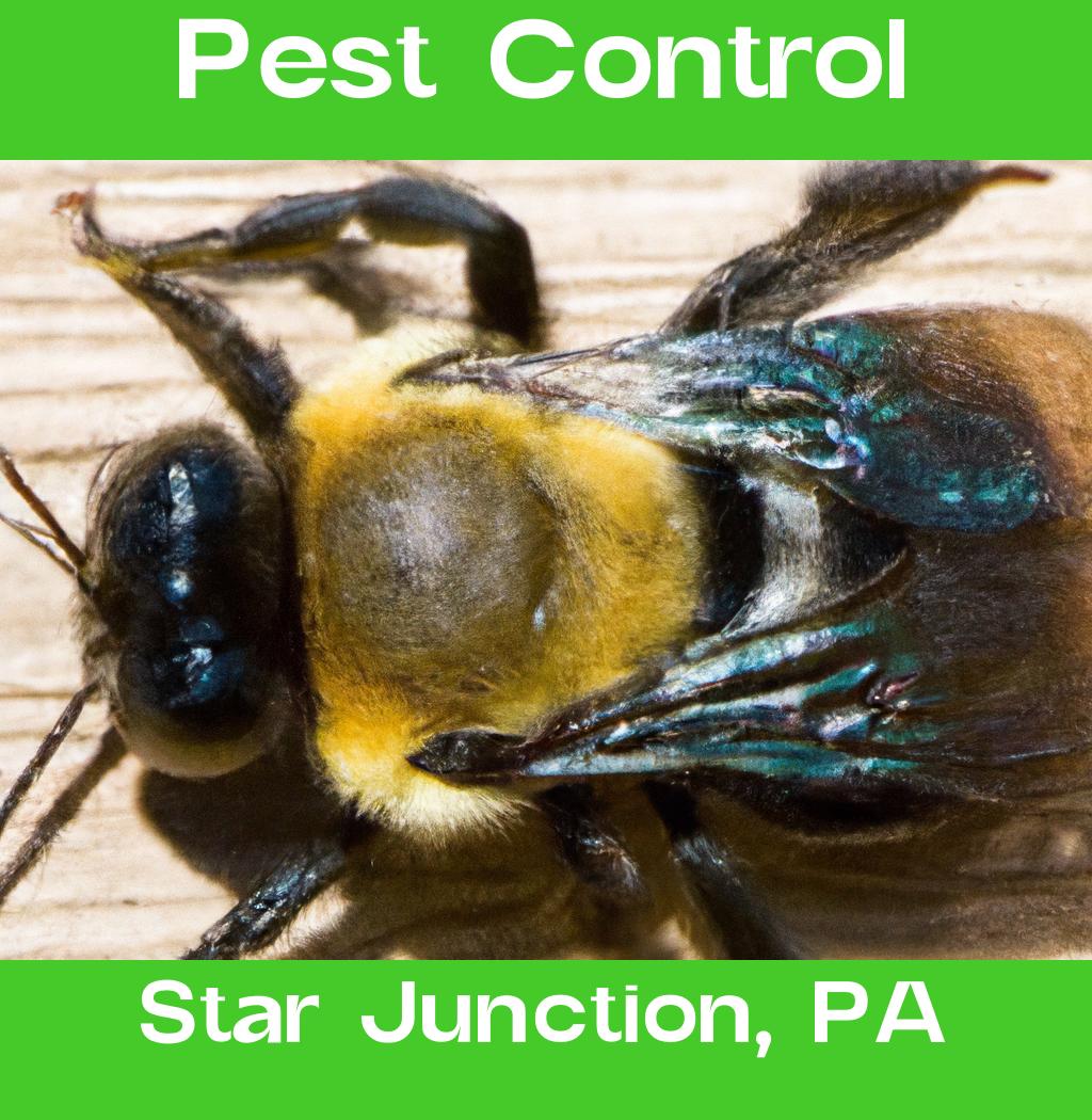 pest control in Star Junction Pennsylvania