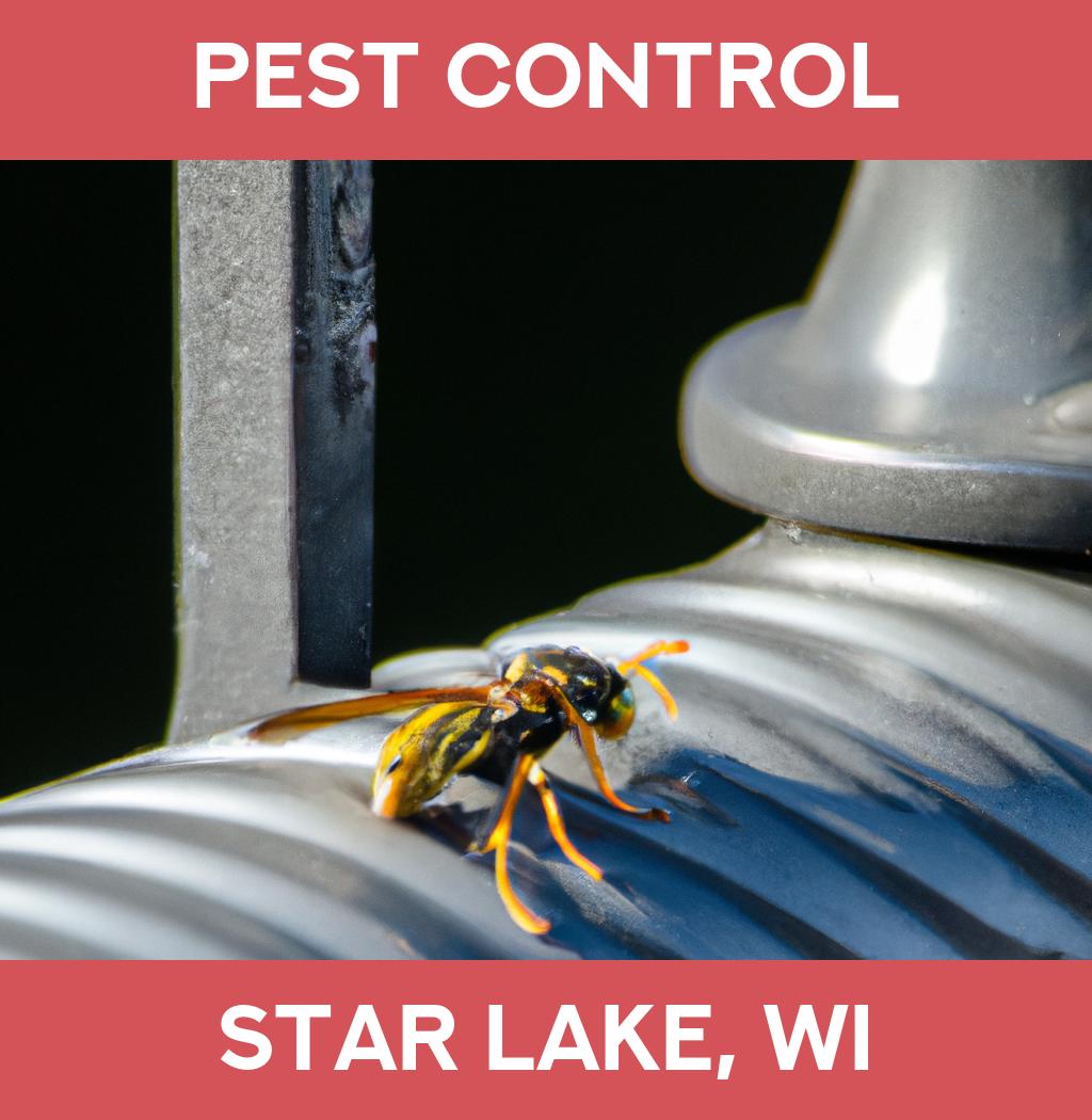 pest control in Star Lake Wisconsin