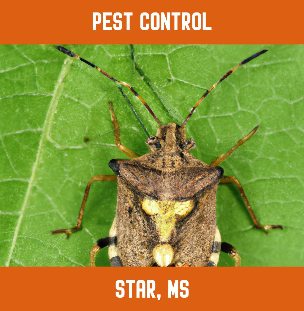 pest control in Star Mississippi