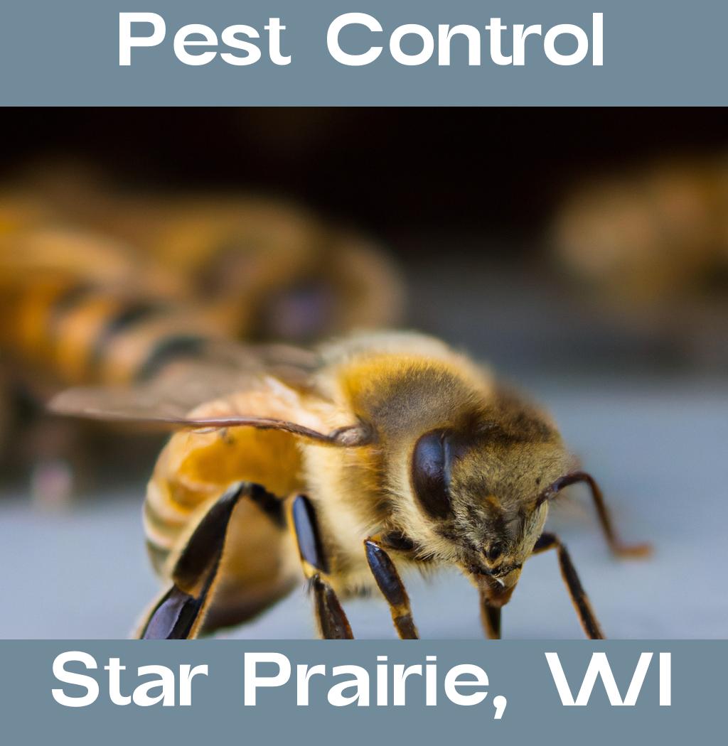 pest control in Star Prairie Wisconsin